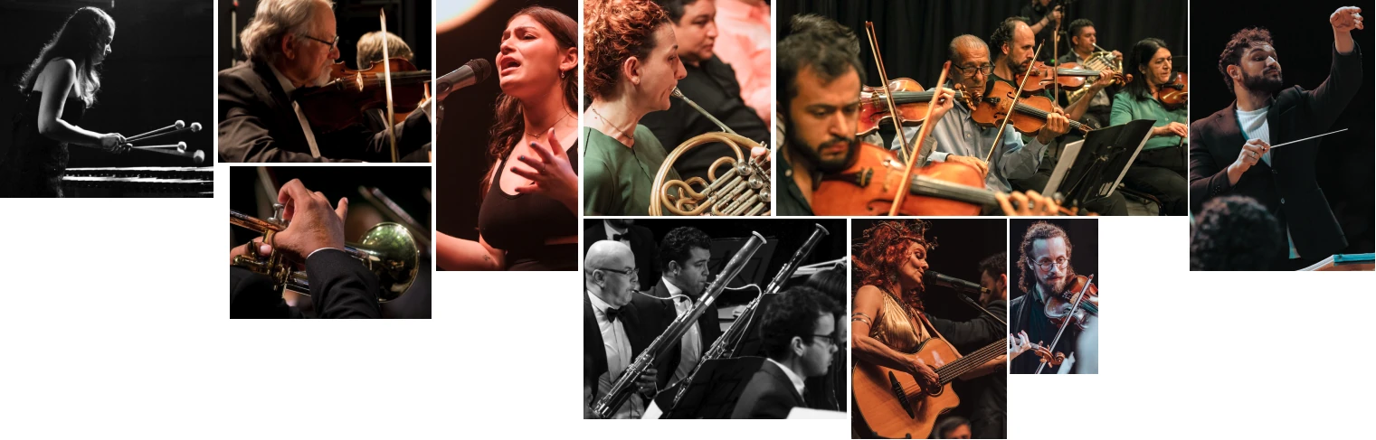 Mosaico de fotos da Orquestra Filarmônica de Valinhos em concerto
